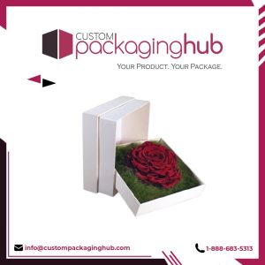 Flower Boxes