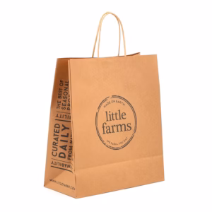 Custom Twisted Handle Paper Bags